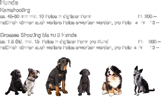 Hunde
