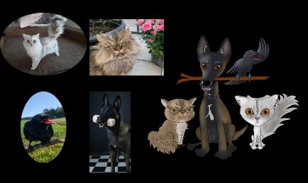 debbyspets