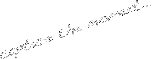 capture the moment...